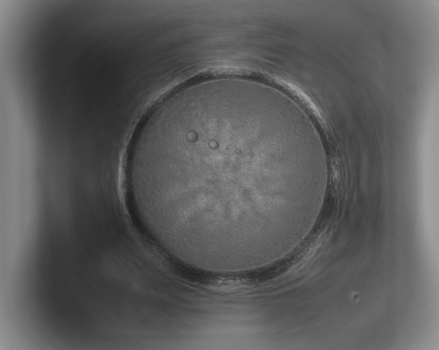 X0000102270487200807251352
