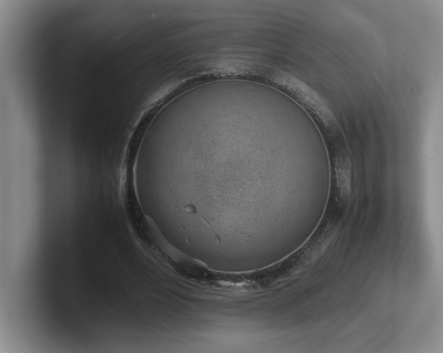 X0000102270488200807251352