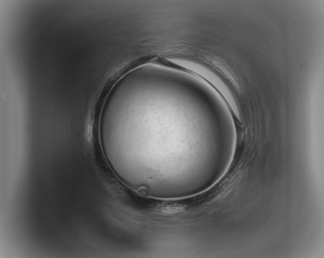 X0000102270491200807251352