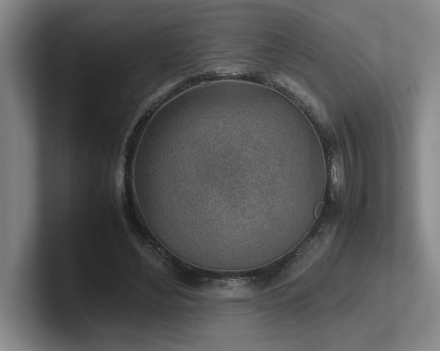 X0000102270492200807251352