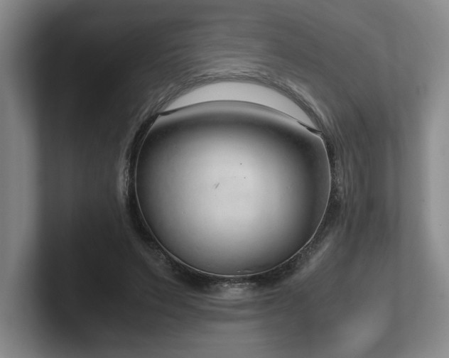 X0000102270495200807251352