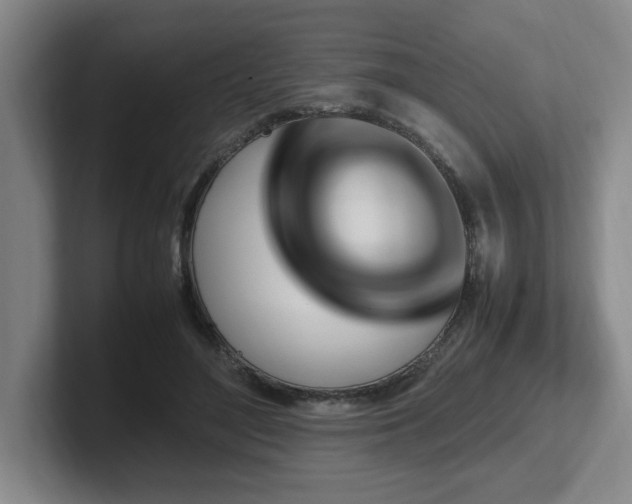 X0000102270500200807251352