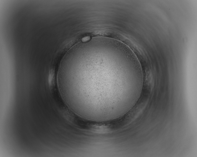 X0000102270502200807251352
