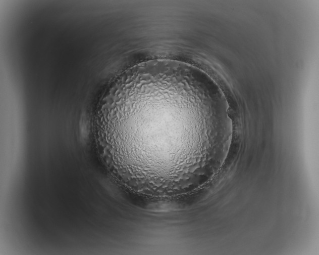 X0000102270503200807251352