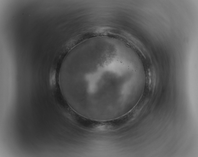 X0000102270504200807251352