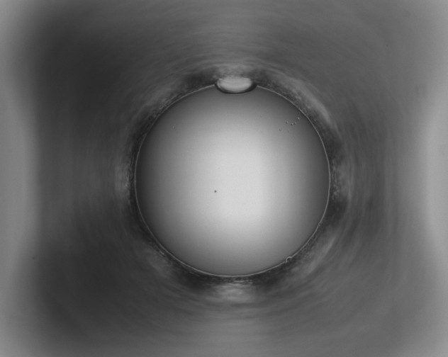 X0000102270505200807251352