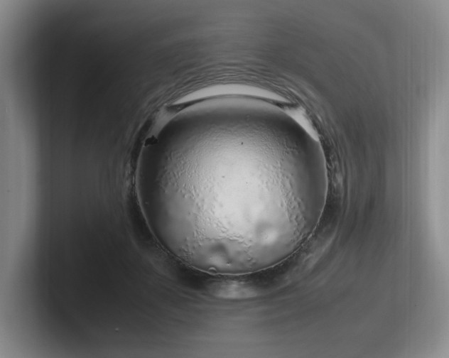 X0000102270507200807251352