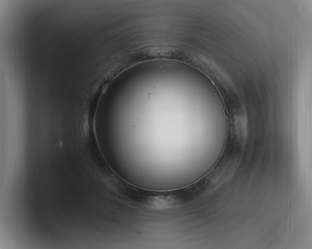 X0000102270508200807251352