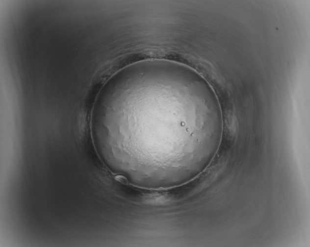 X0000102270511200807251352