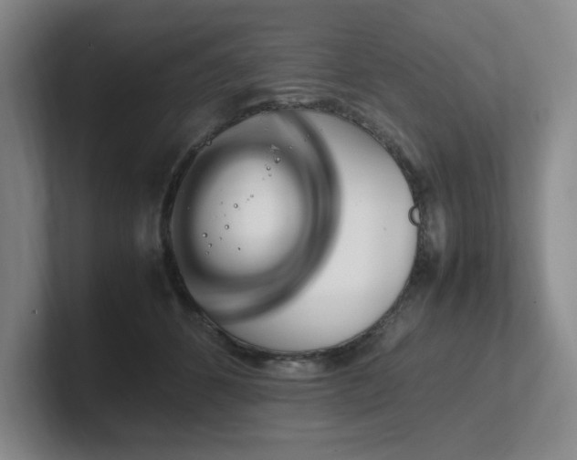 X0000102270512200807251352