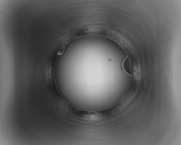 X0000102270514200807251352
