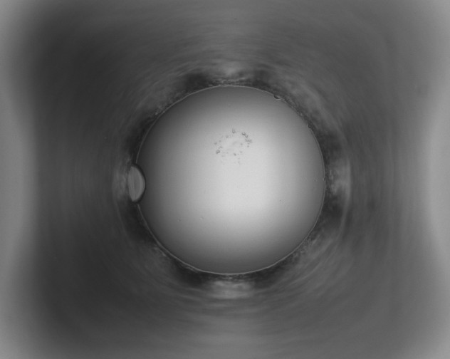 X0000102270515200807251352