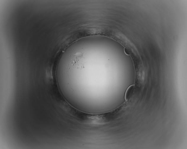 X0000102270516200807251352