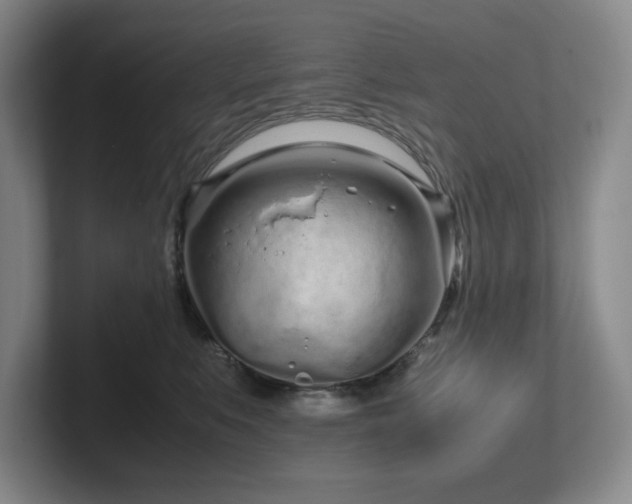 X0000102270519200807251352