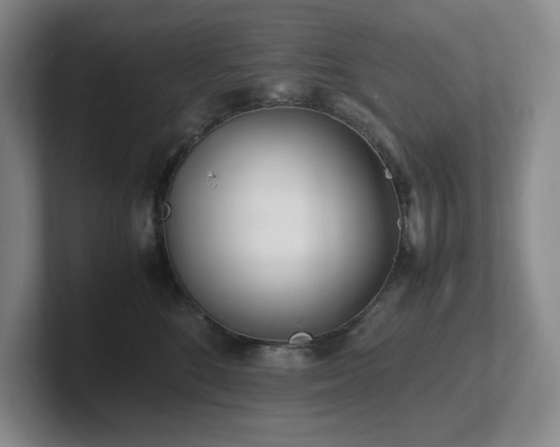 X0000102270520200807251352
