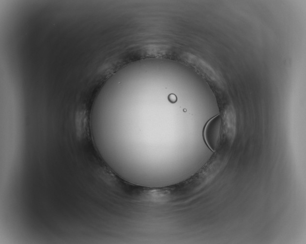 X0000102270522200807251352
