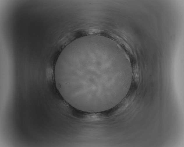 X0000102270523200807251352