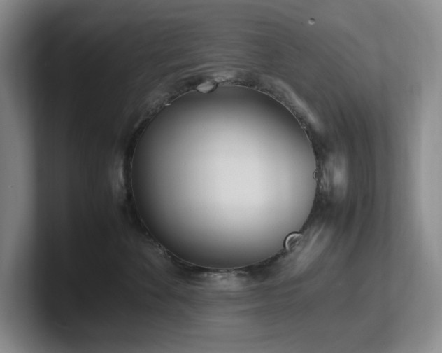 X0000102270524200807251352