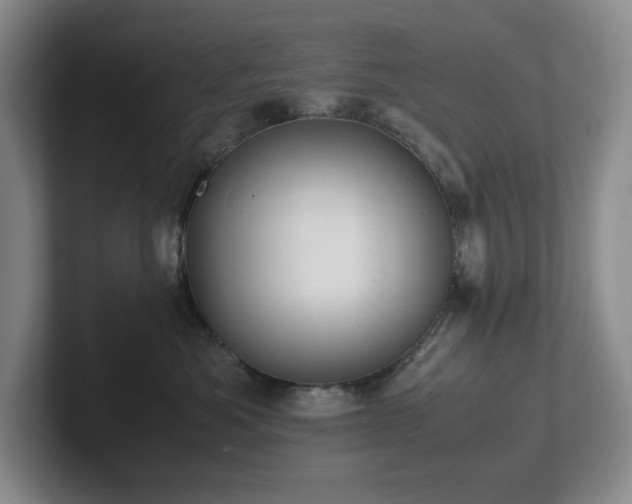 X0000102270525200807251352