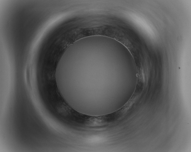 X0000102270526200807251352