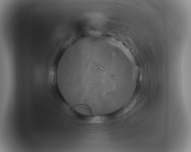 X0000102270527200807251352