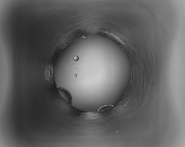 X0000102270528200807251352