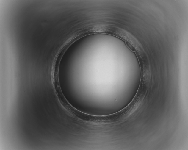 X0000102270530200807251351