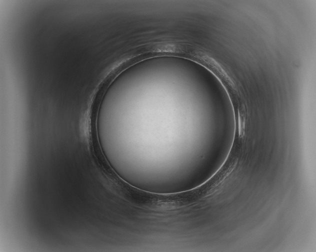 X0000102270531200807251351