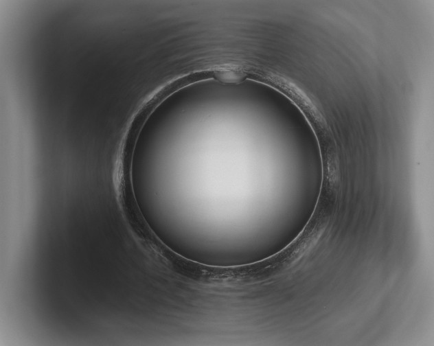 X0000102270532200807251351