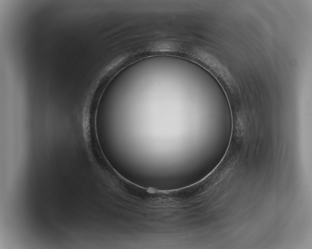 X0000102270535200807251351