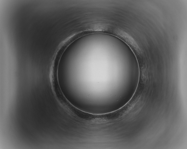 X0000102270536200807251351
