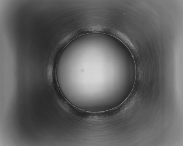 X0000102270538200807251351