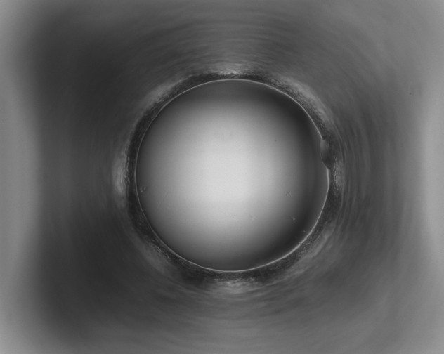 X0000102270540200807251351