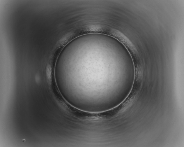 X0000102270542200807251351