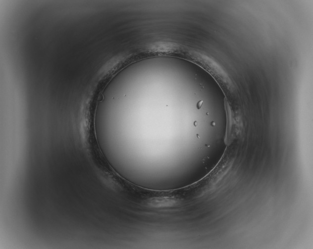 X0000102270544200807251351