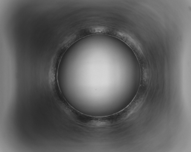 X0000102270545200807251351