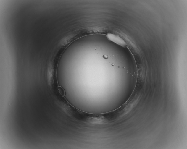 X0000102270548200807251351
