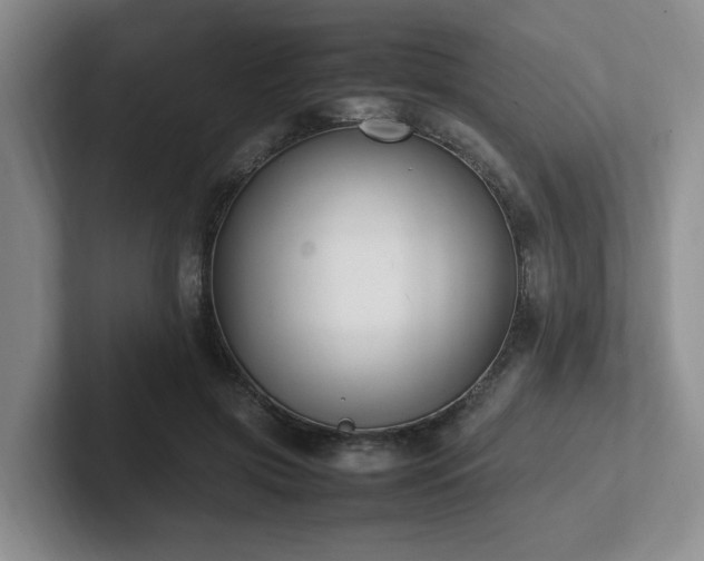 X0000102270549200807251351