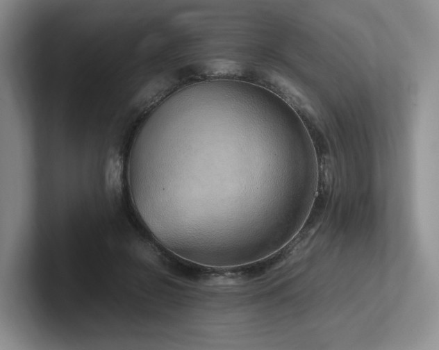 X0000102270550200807251351