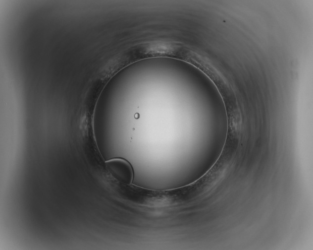 X0000102270551200807251351