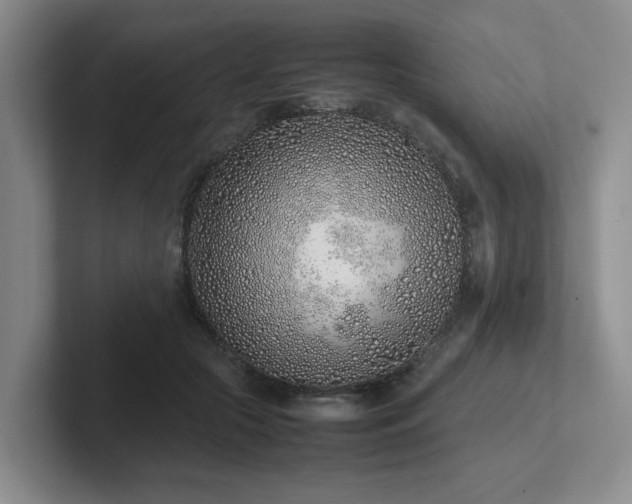 X0000102270553200807251351