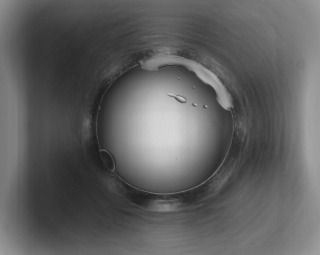 X0000102270556200807251351