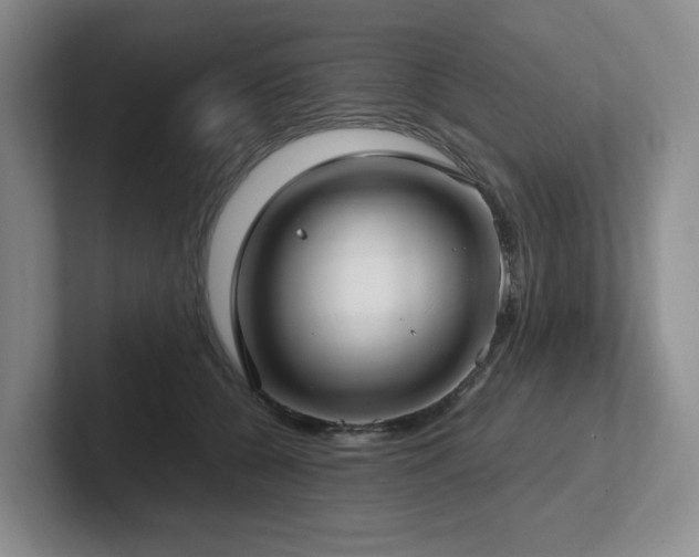 X0000102270560200807251351