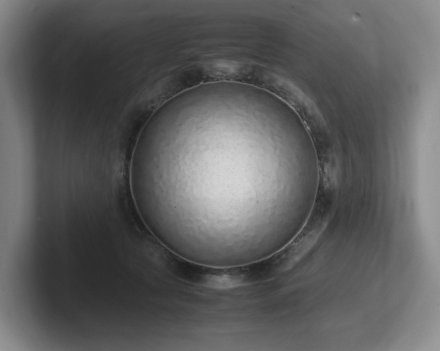 X0000102270561200807251351