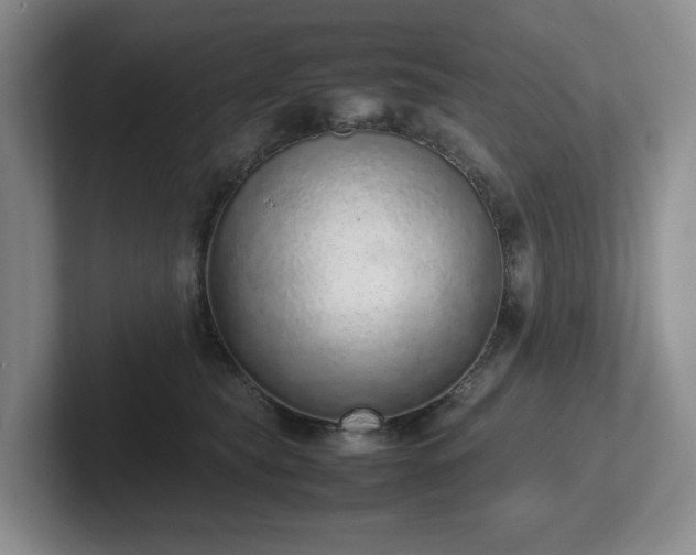X0000102270565200807251351