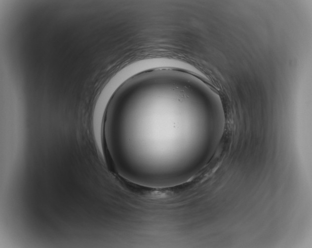 X0000102270566200807251351