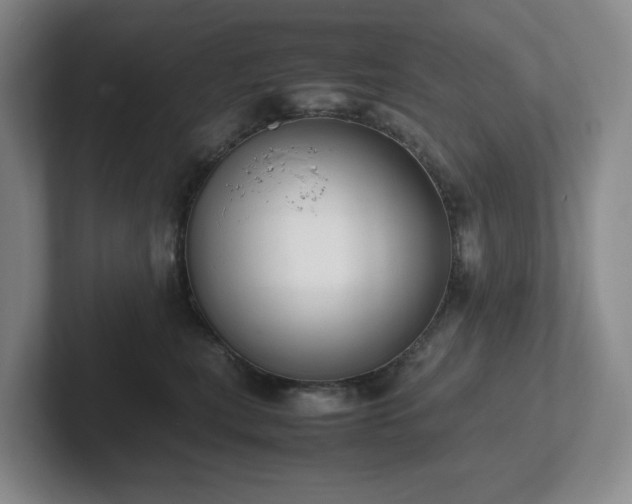X0000102270567200807251351