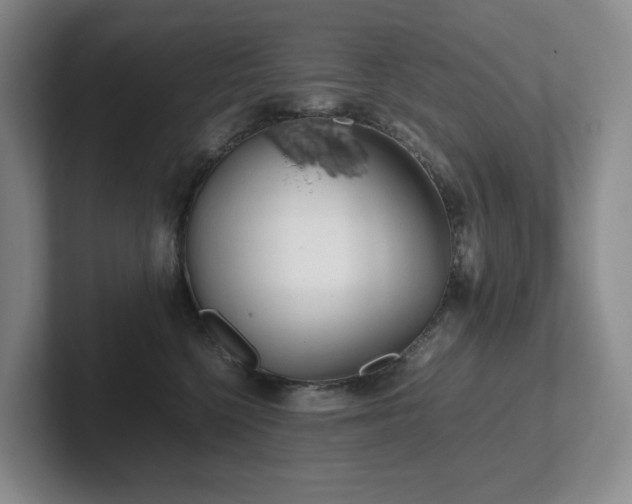 X0000102270568200807251352
