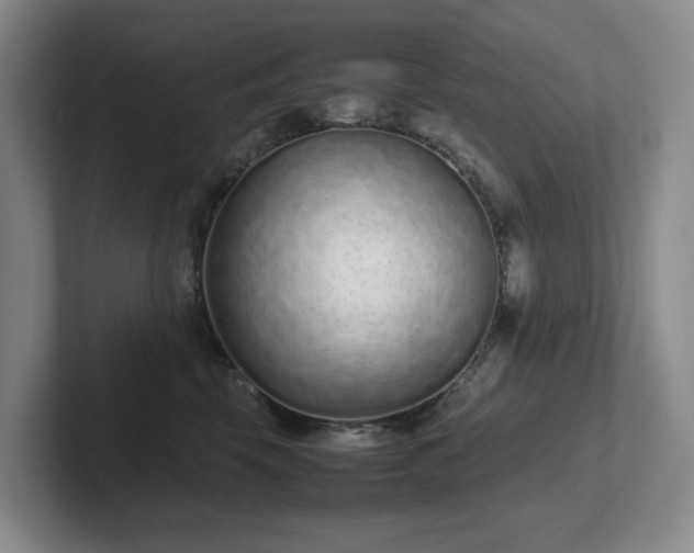 X0000102270569200807251352