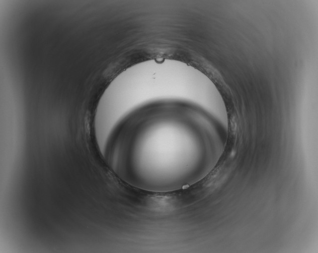 X0000102270570200807251352